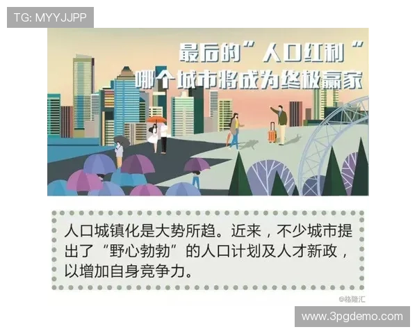 揭秘白金赌局：财富与风险的终极较量